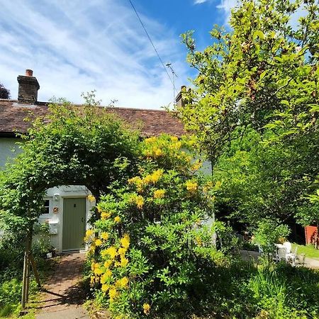 Ashdown Forest Character Cottage, 18Th Century Crowborough Buitenkant foto
